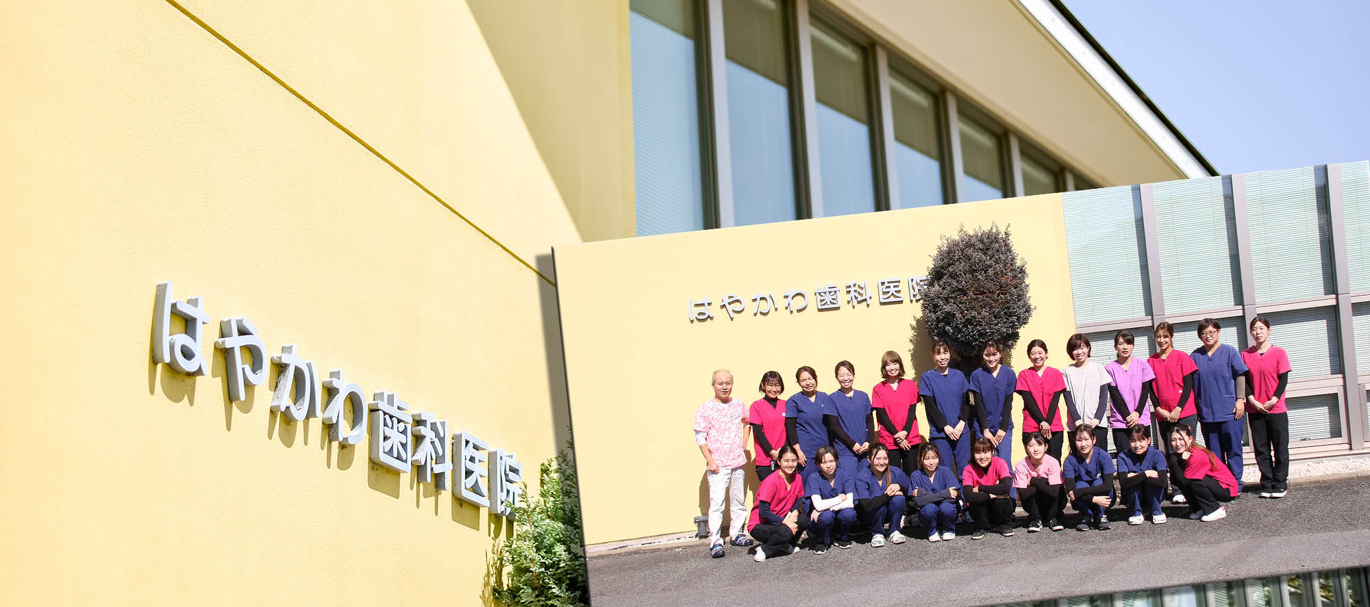 歯科医師、歯科衛生士、求人、募集